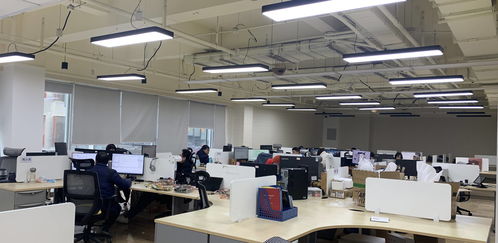 成都高新區 以“實”字為核心，助力小微信息技術咨詢服務企業蓬勃發展