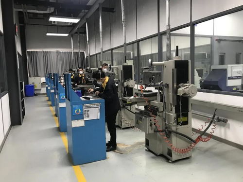 問(wèn)需于企，精準(zhǔn)服務(wù)——走進(jìn)兩家優(yōu)秀高新技術(shù)企業(yè)信息技術(shù)咨詢服務(wù)實(shí)踐